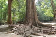 *Angkor-13.54.57
