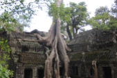 *Angkor-14.04.38
